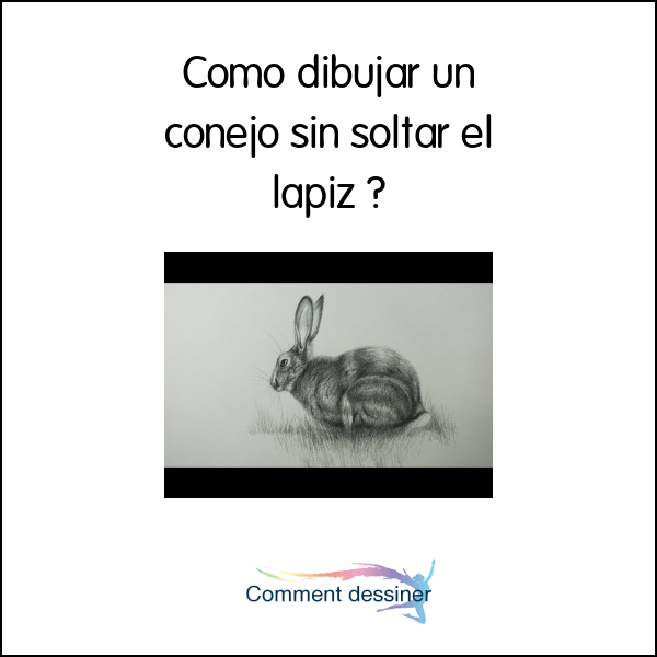 Como dibujar un conejo sin soltar el lapiz